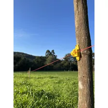 Fio Eletroplástico Cerca Rural 1000 M Super Resistente Foto mini  3