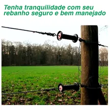 Fio Eletroplástico Inox Cerca Rural Agro 500m 15x6 Carretel Foto mini 4