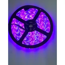 Fita De Led Rgb 5050 5m 12v +controle Remoto Sem Fonte Foto mini 2