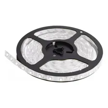 Fita Led Fita Led 5050 5050 5m 110v/220v Ip65 Foto mini 2