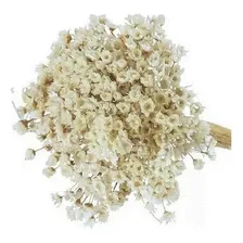 Flor Desidratada Sempre Viva C/500 Un Branca Decoração Festa Cor Branco Foto  mini 1
