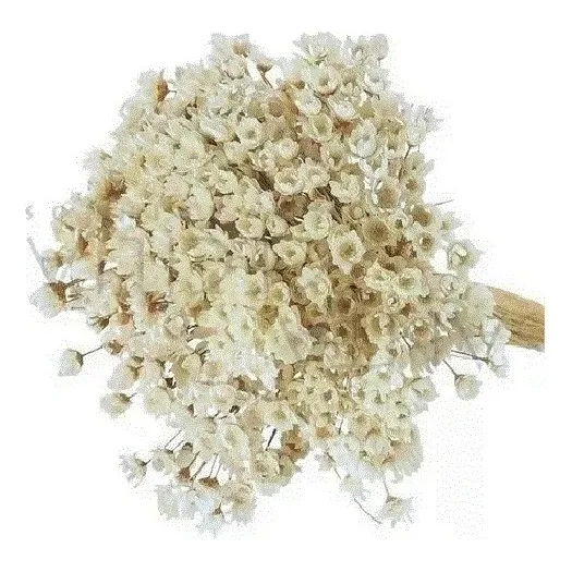 Flor Desidratada Sempre Viva C/500 Un Branca Decoração Festa Cor Branco Foto 1