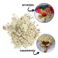 Flor Desidratada Sempre Viva C/500 Un Branca Decoração Festa Cor Branco Foto mini  3