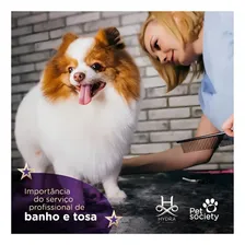 Fluido Desembaraçador Hydra Pet Society Super Premium 240ml Fragrância Suave Foto mini 2