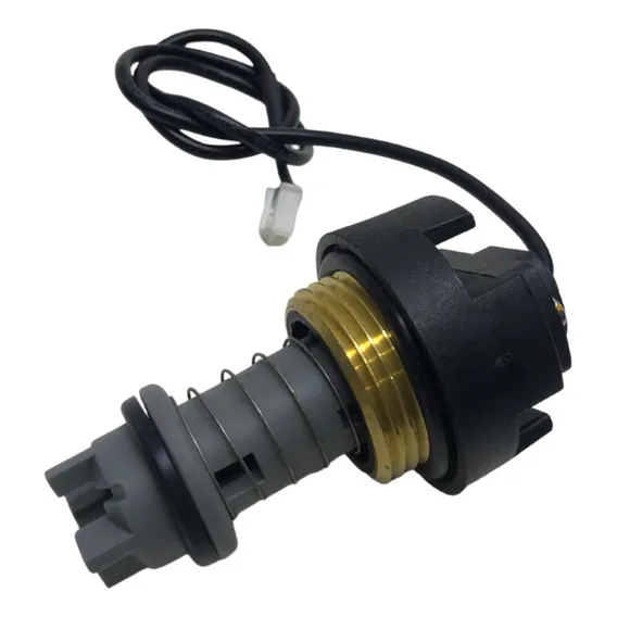 Fluxostato P/ Pressurizador Lorenzetti Pl400p 110v/220v Foto 1
