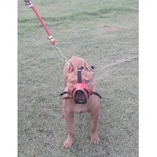 Focinheira Seguranca Caes Couro Coleira Spike Pitbull Doberman Cor Vermelho Foto mini 4