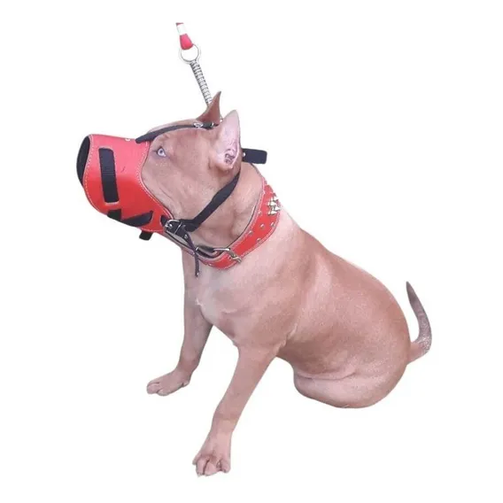 Focinheira Seguranca Caes Couro Coleira Spike Pitbull Doberman Cor Vermelho Foto 1