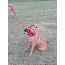 Focinheira Seguranca Caes Couro Coleira Spike Pitbull Doberman Cor Vermelho Foto mini 3