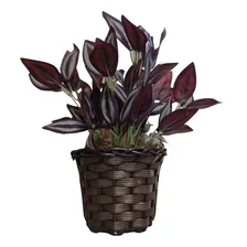 Folhagem Decorativa Planta Artificial Realista Vaso Enfeite Foto mini  2
