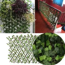 Folhagem Hera Treliça Cerca Jardim Expansiva Até 2m X 120cm Foto mini 4