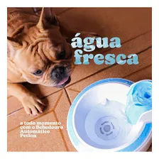 Fonte Bebedouro Automático Petlon Cães Gatos Fonte Água 110v Foto mini 4