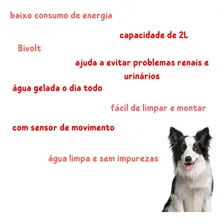 Fonte Bebedouro Gatos Cachorros Volcano Ice Bivolt - Truqys Foto mini 4