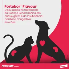Fortekor Flavour 5 Novartis Cães E Gatos 28 Comprimidos Foto mini 4