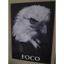 Frases Motivacionais Mdf Placa Decorativa Ambiente Nome Do Desenho Motivacional Placa Decorativa Foto mini 4