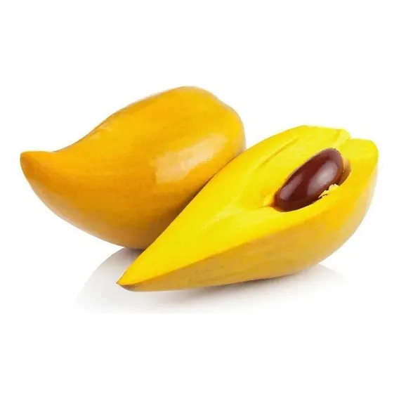 Fruta Fresca Canistel - Apronta Foto 1