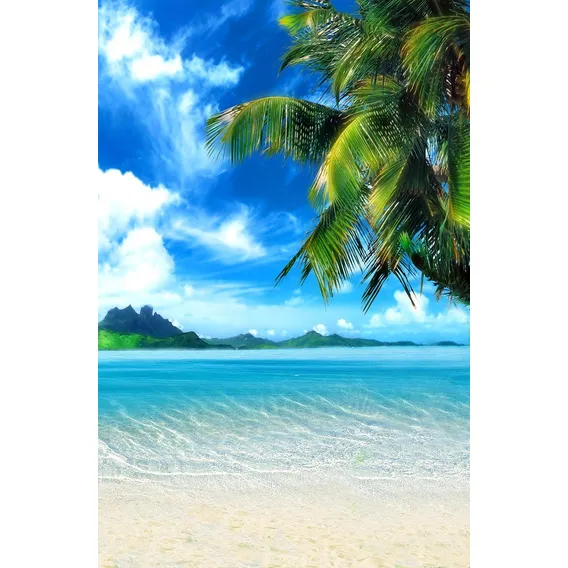 Fundo Fotográfico Tecido 3d Coqueiro E Praia 1,50m X 2,50m Foto 1