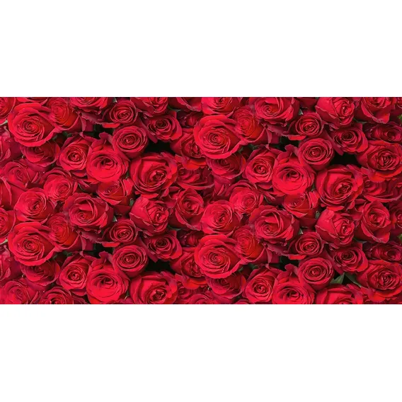 Fundo Fotográfico Tecido 3d Rosas Vermelhas 2,20m X 1,5m Foto 1