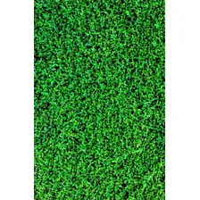 Fundo Fotográfico Tecido Sublimado Muro Inglês 1,50m X 2,50m Foto mini 1