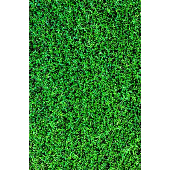 Fundo Fotográfico Tecido Sublimado Muro Inglês 1,50m X 2,50m Foto 1