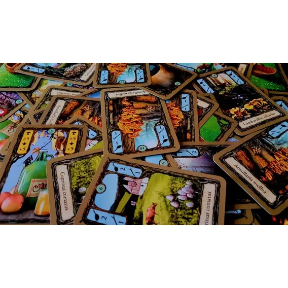 Fungi Jogo De Cartas Papergames J011 Foto 1