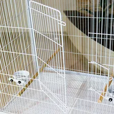 Gaiola Grande Voadeira Viveiro Aves Em Geral -malha Fina Cor Branco Foto mini 4
