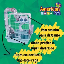 Gaiola Labirinto Safari P Hamster Roedores American Pets Cor Azul-claro Foto mini 4