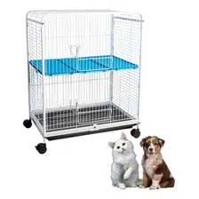 Gaiola Viveiro Canil Portátil Cães Gatos Pássaros Multiuso Cor Branco/azul Foto  mini 1