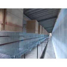 Gaiola Voadeira Grande Cor Cinza Foto mini 4