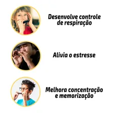 Gaita Dó Diatônica Blues C 20 Vozes C/ Estojo Estudo Foto mini 4
