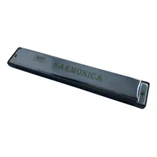 Gaita Harmonica 24 Vozes Foto mini 3