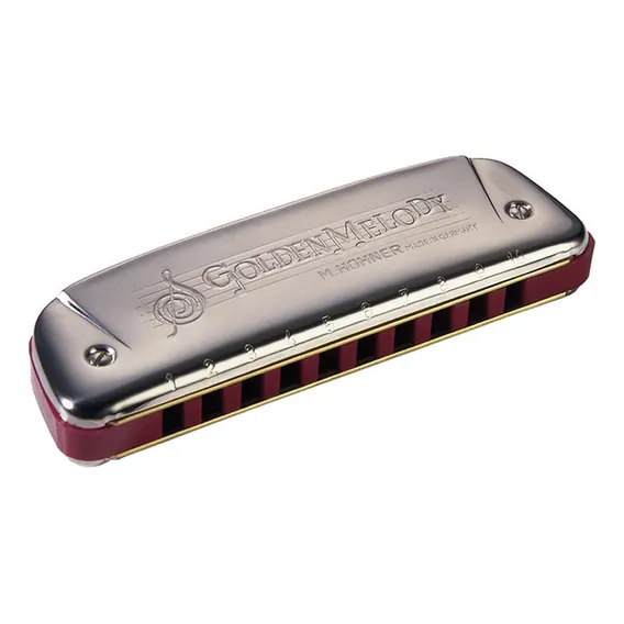 Gaita Hohner Golden Melody 542/20 Em Do C Foto 1