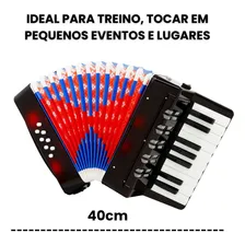 Gaita Sanfona Acordeon Iniciante 8 Baixos Brinquedo Crianças Sanfona Infantil Brinquedo Musical Sophia Mundo Encantado Foto mini 2