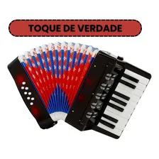 Gaita Sanfona Acordeon Iniciante 8 Baixos Brinquedo Crianças Sanfona Infantil Brinquedo Musical Sophia Mundo Encantado Foto mini 4