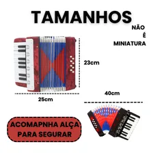 Gaita Sanfona Acordeon Iniciante 8 Baixos Brinquedo Crianças Sanfona Infantil Brinquedo Musical Sophia Mundo Encantado Foto mini 3