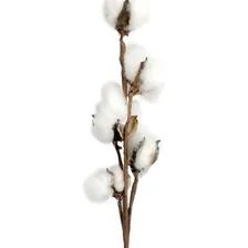 Galho De Algodão Artificial Flor Natural Galho Com 5 Flor Cor Branco Foto  mini 1