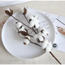 Galho De Algodão Artificial Flor Natural Galho Com 5 Flor Cor Branco Foto mini 4