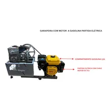 Garapeira Magnu 7cv A Gasolina Manual Juby Foto mini 4