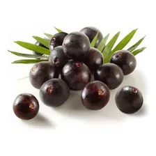 Geleia De Açaí - Sabor Da Ilha 300g Foto mini  2