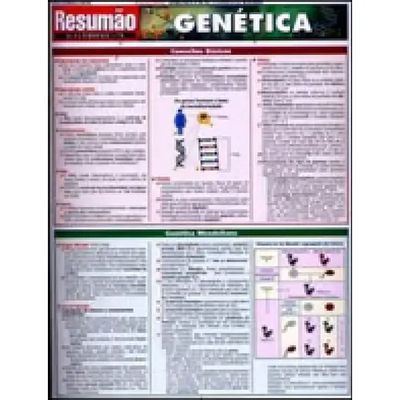 Genetica - Resumao Foto 1
