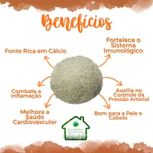 Gergelim Branco 1kg - Linha Premium Foto mini 2