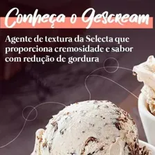 Gescream Emulsificante E Estabilizante Selecta 10kg Foto mini  2