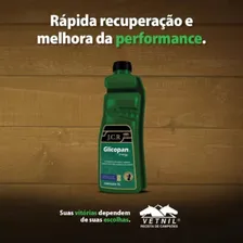 Glicopan Energy JCR 1 Litro Suplemento para Equinos Vetnil Foto mini 4