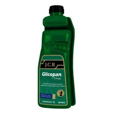 Glicopan Energy JCR 1 Litro Suplemento para Equinos Vetnil Foto  mini 1