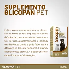 Glicopan Pet Suplemento Vitamínico Mineral Aminoácido 125ml Foto mini 4