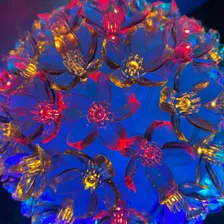 Globo 100 Lâmpadas Pisca Pisca Luz Led Flor Colorida Natal Foto mini  3