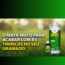 Gramix Herbicida Seletivo Gramados Erva Daninha 100ml Eficaz Foto mini  2