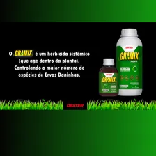 Gramix Herbicida Seletivo Gramados Erva Daninha 100ml Eficaz Foto mini 4