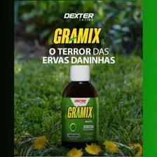 Gramix Herbicida Seletivo Gramados Erva Daninha 100ml Eficaz Foto mini  3