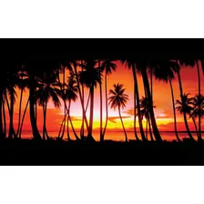 Grand Theft Auto: Vice City P/ Ps2 Foto mini 4