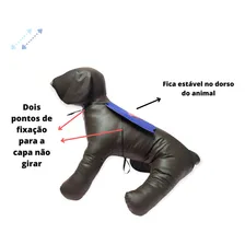 Gravata Capa Her贸is - 25un - Gravata Petshop - Fancy Dog Cor SORTIDO GRAVATA PET CAPA Foto mini 4